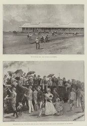 The Transvaal War